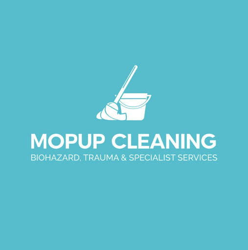 Mopup Cleaning - Visual