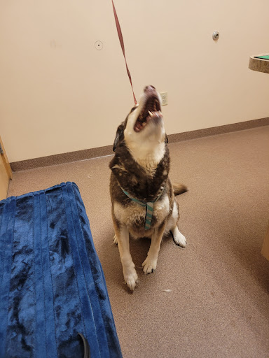 Boothbay Animal Hospital