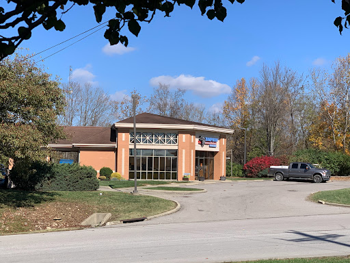 Simpson Veterinary Services - Visual