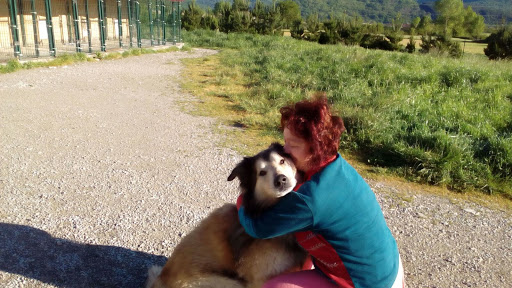 Hotel para perros Residencia Canina Basajaun