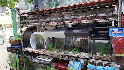 Photos of Flower Delivery Shop Dubai