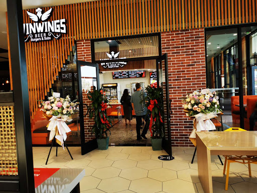 Win Wings - Visual