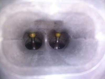 Photos of VELKIM LTDA