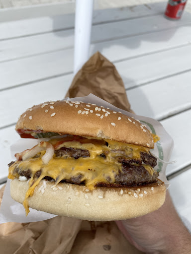 Grillen - Visual