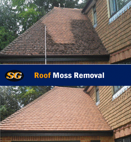Surrey Roof Clean - Thumbnail