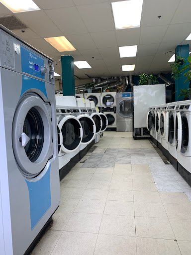 Belfair Laundry - Visual