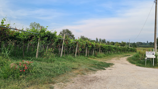 Agricamping - Corte Pianton - Thumbnail