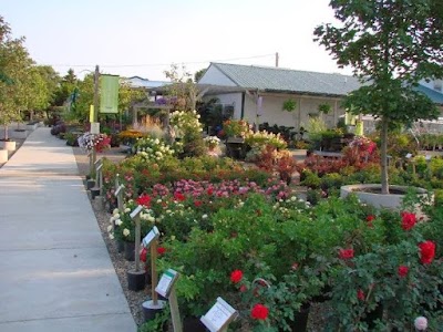 Greenwood Nursery - Floral & Garden Center - Tracy