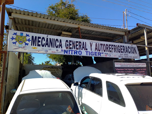 Taller Mecánico Nitro Tiger