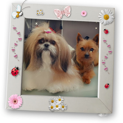 gosestilos.es - Silla - Thumbnail