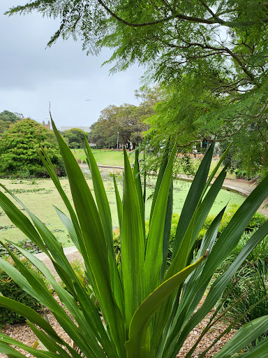 Victoria Park, Broadway - Thumbnail