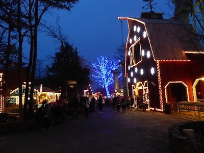 The Giant Barn Swing