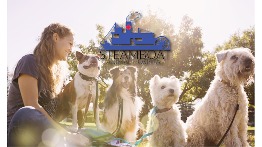 Steamboat Animal Hospital