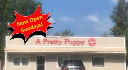A Pretty Puppy Pet Grooming