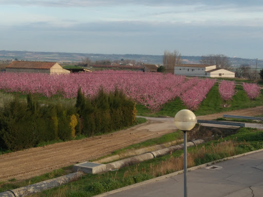 Innova Futuro Altorricón, SL