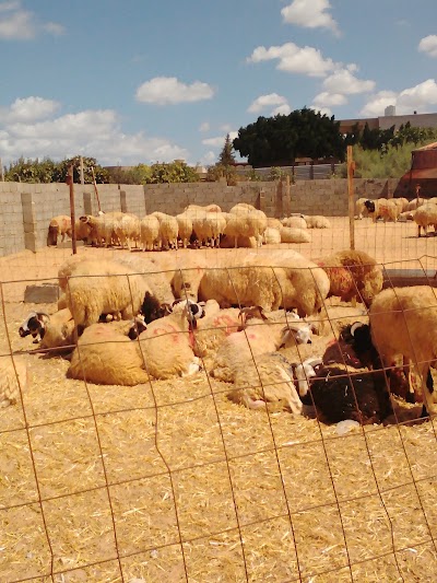 Photos of Alfardous Clinic
