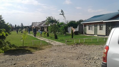 Photos of Sunflower Garden