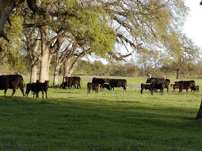 Tehama County Resource Conservation District