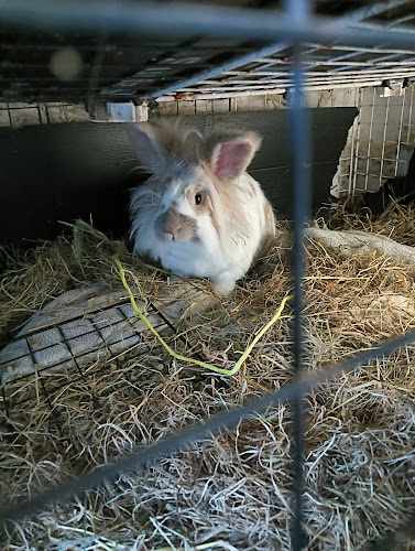 The Small Furry Holiday Hotel