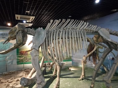 Photos of Henan Geological Museum
