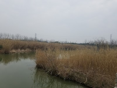 Photos of Shajiabang Scenic Area （South Gate）