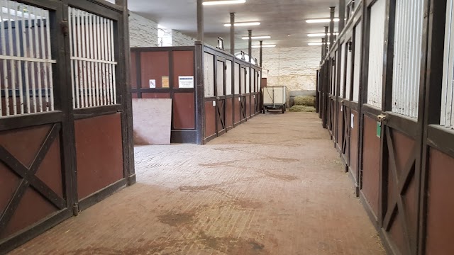 Haras du Pin