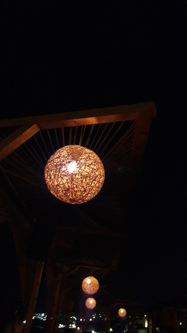 Oasis