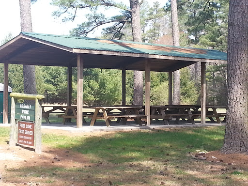 Redden State Forest - Visual