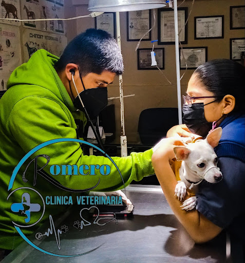 Clínica Veterinaria Romero