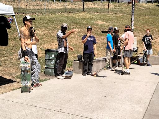 Pitcher Park Memorial Skatepark Gallery - United States