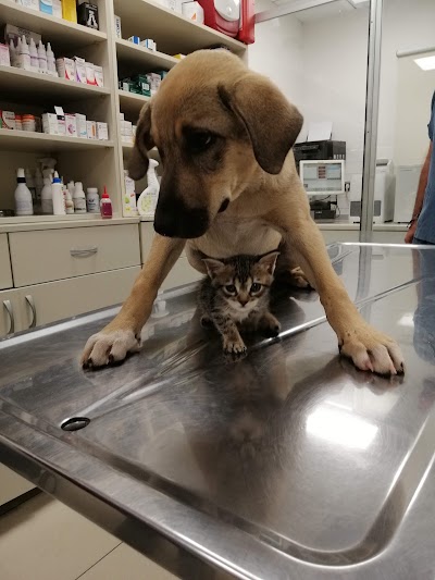 veterinary-care