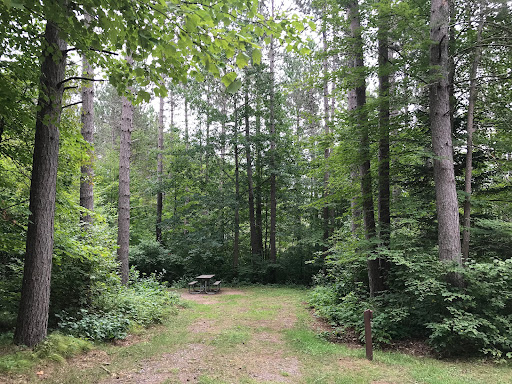 Day Lake Campground - Thumbnail