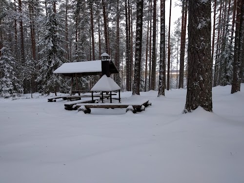 RMK Liipsaare metsaonn