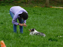 Club Canin de la Voise à Ymeray
