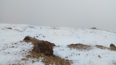 Photos of Nevado del Quind&iacute;o