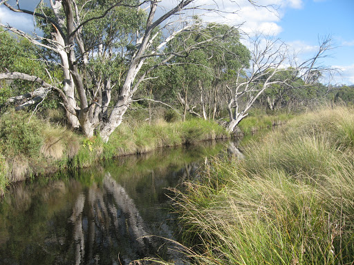 Cotter Hut - Thumbnail