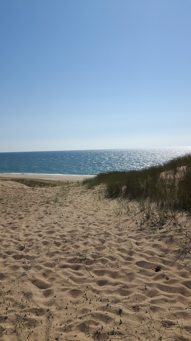 Plage Du petit pont
