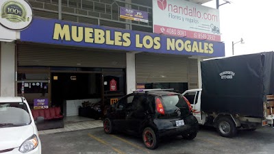 furniture-store