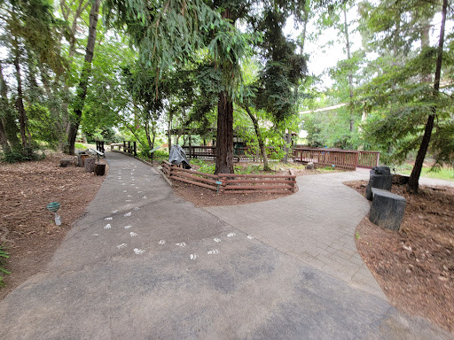 California Forest Center - Thumbnail