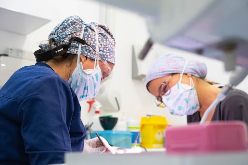 Clínica Dental Clapés