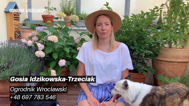 Opinie o Ogrodnik Wrocławski w Wrocław - Ogrodnik
