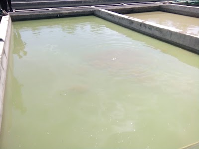 Photos of Wisata Ikan Tawar Seppong