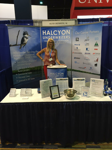 Halcyon Underwriters - Thumbnail