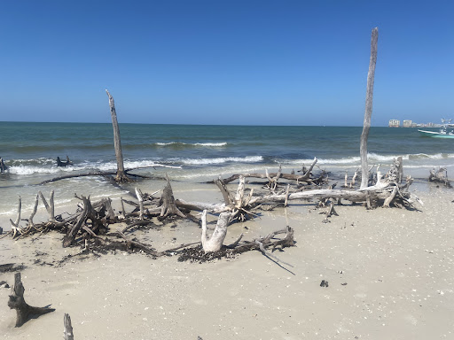 Marco Island Shelling Tours - 239-301-8914 - Thumbnail