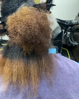 SeeShellBeauty Studio Salon - Thumbnail