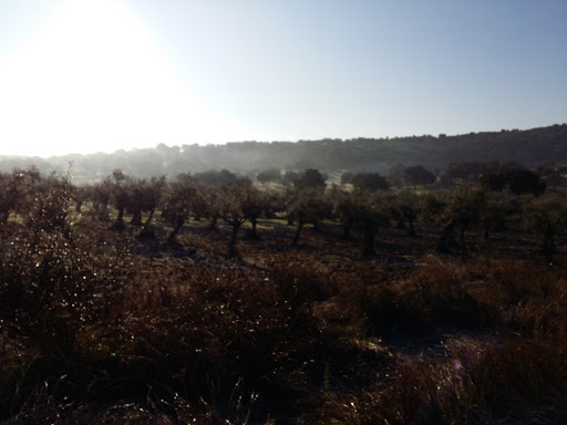 Laguna de Las Navas - Thumbnail