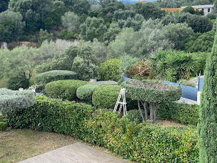 Photo n°2 de Kévin Service + à Porto-Vecchio (Paysagiste)