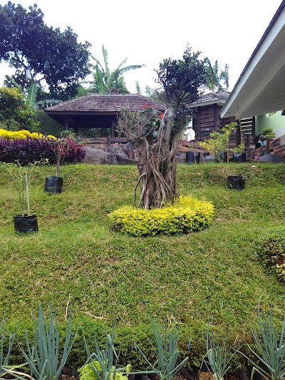 Photos of Villa HIJAU