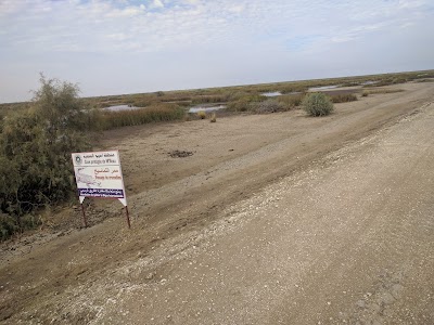 Photos of Parc national du Diawling