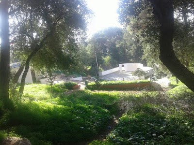 Photos of Olof Palme Garden